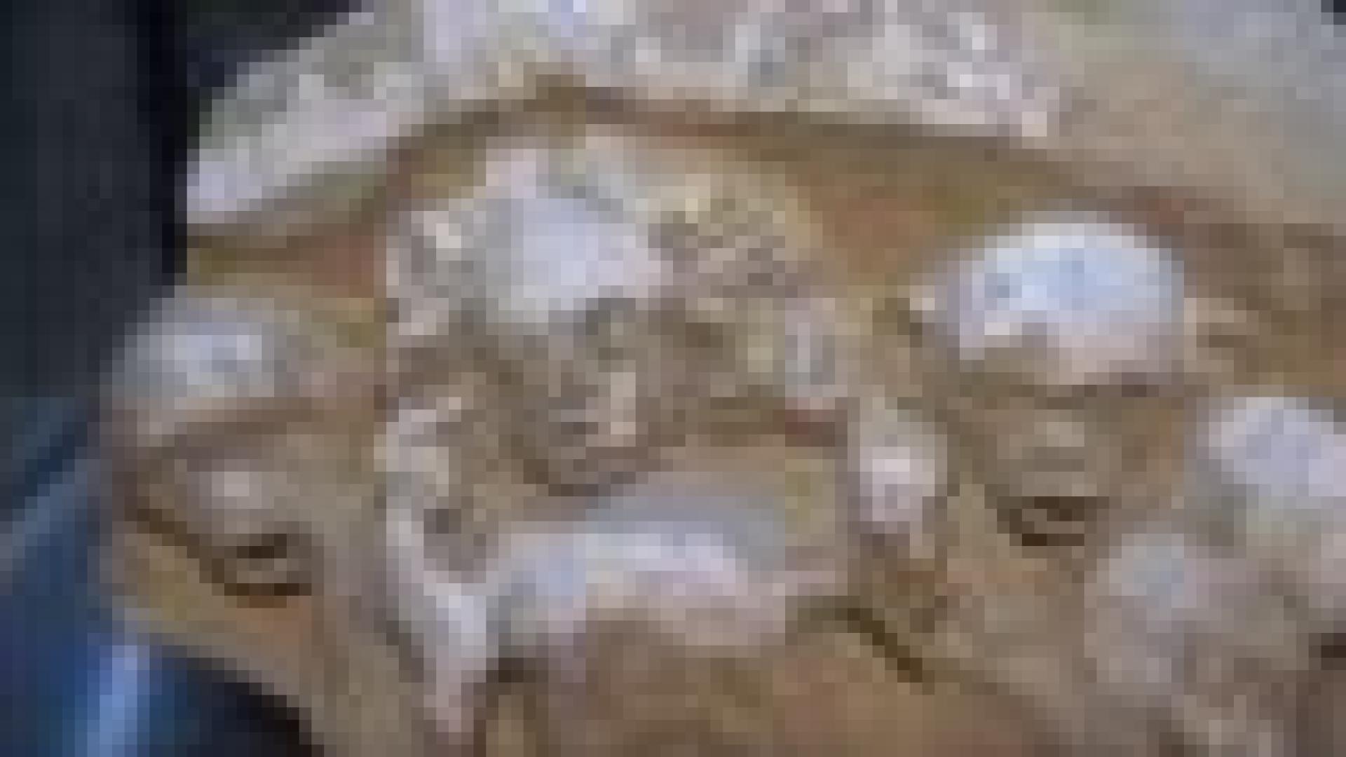 Archeoforum : 5 ans